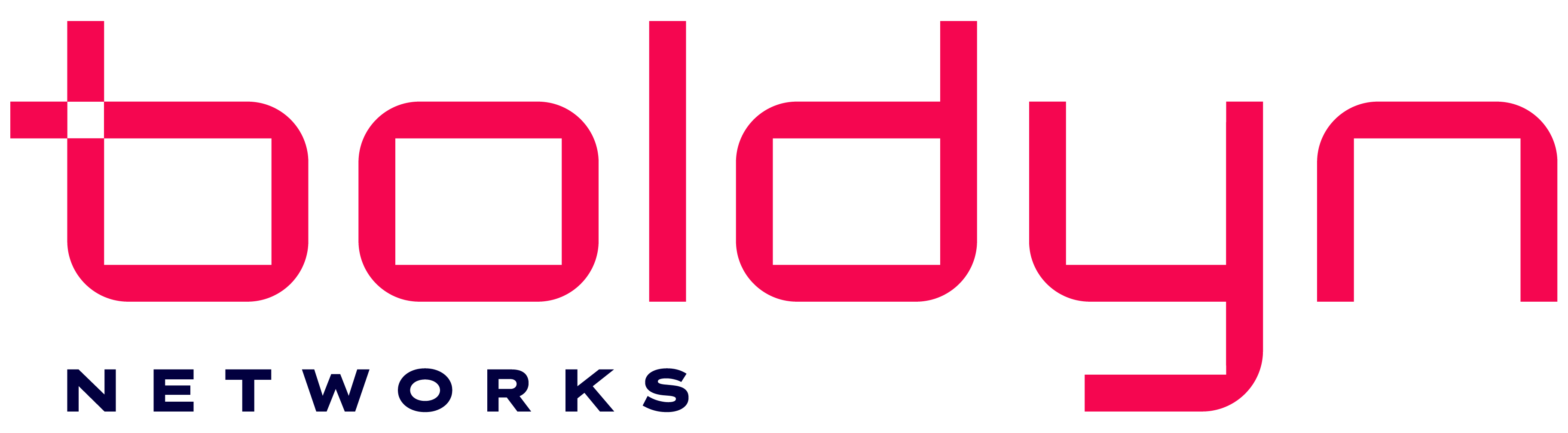 Boldyr Networks Logo